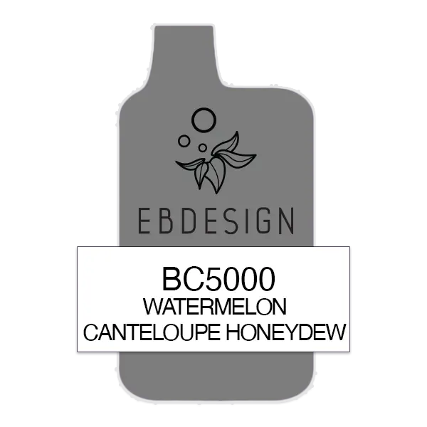 BUY 1 GET 1 FREE Watermelon Cantaloupe Honeydew Elf Bar 5000 | Vape Amazon India