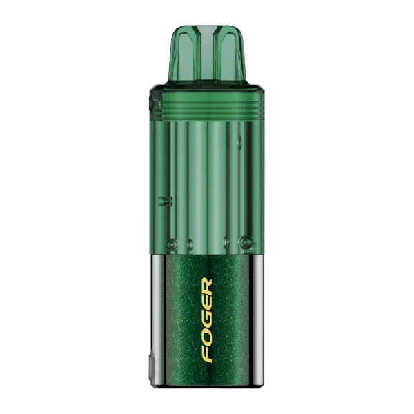 BUY 1 GET 1 FREE Icy Mint FOGER Switch Pro Disposable | Vape Amazon India